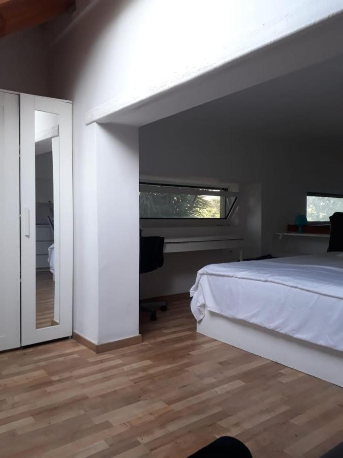 Bright Mezzanine Flat With Garden Apartment Athens Exterior photo